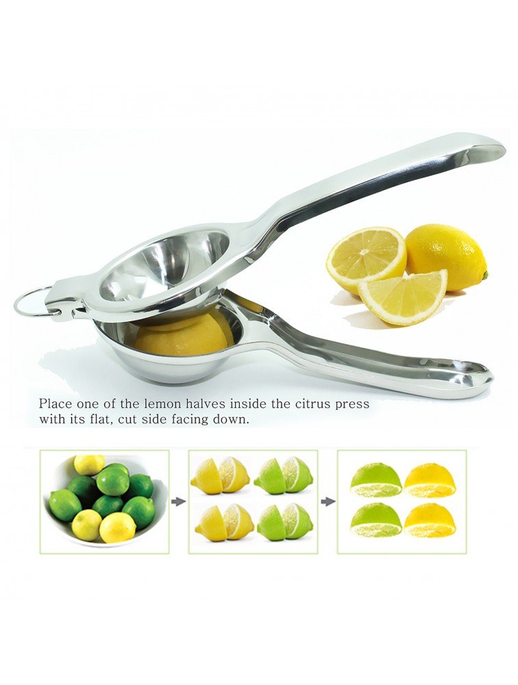 EcoJeannie Lemon Squeezer, Super Jumbo Size Stainless Steel 